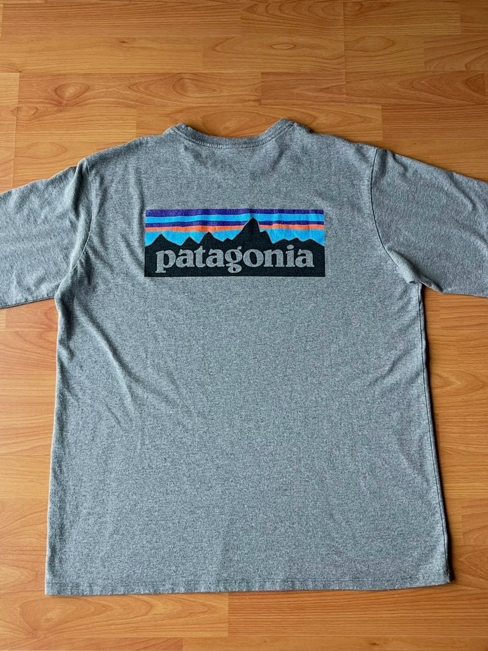 Patagonia Classic Loose Fit Grey Tee Mountain Logo Men’s Size Large